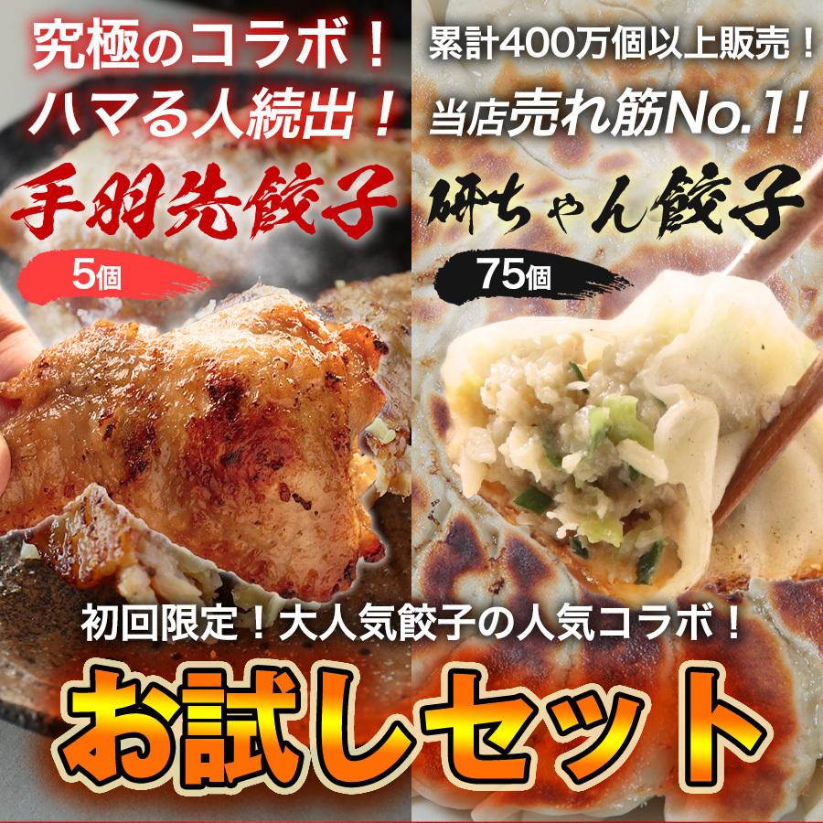 おまけ付 餃子 取り寄せ 送料無料 業務用 冷凍 生餃子 国産素材 手羽先 時短 お手軽 簡単 大容量 餃子計画 研ちゃん餃子 初めての方限定お試しセット Wantannas Go Id