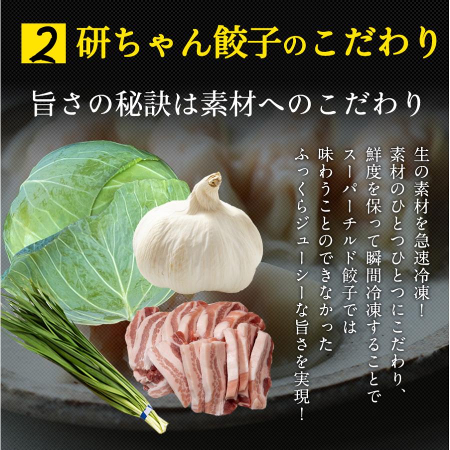 おまけ付 餃子 取り寄せ 送料無料 業務用 冷凍 生餃子 国産素材 手羽先 時短 お手軽 簡単 大容量 餃子計画 研ちゃん餃子 初めての方限定お試しセット Wantannas Go Id