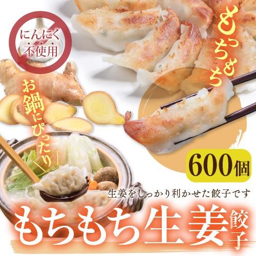 餃子 取り寄せ 送料無料 業務用 冷凍 生餃子 国産素材 ニンニク不使用 お手軽 大容量 餃子計画 鍋 水餃子 もちもち生姜餃子 600個 50個 12袋 餃子計画 公式オンラインストア 通販 Paypayモール