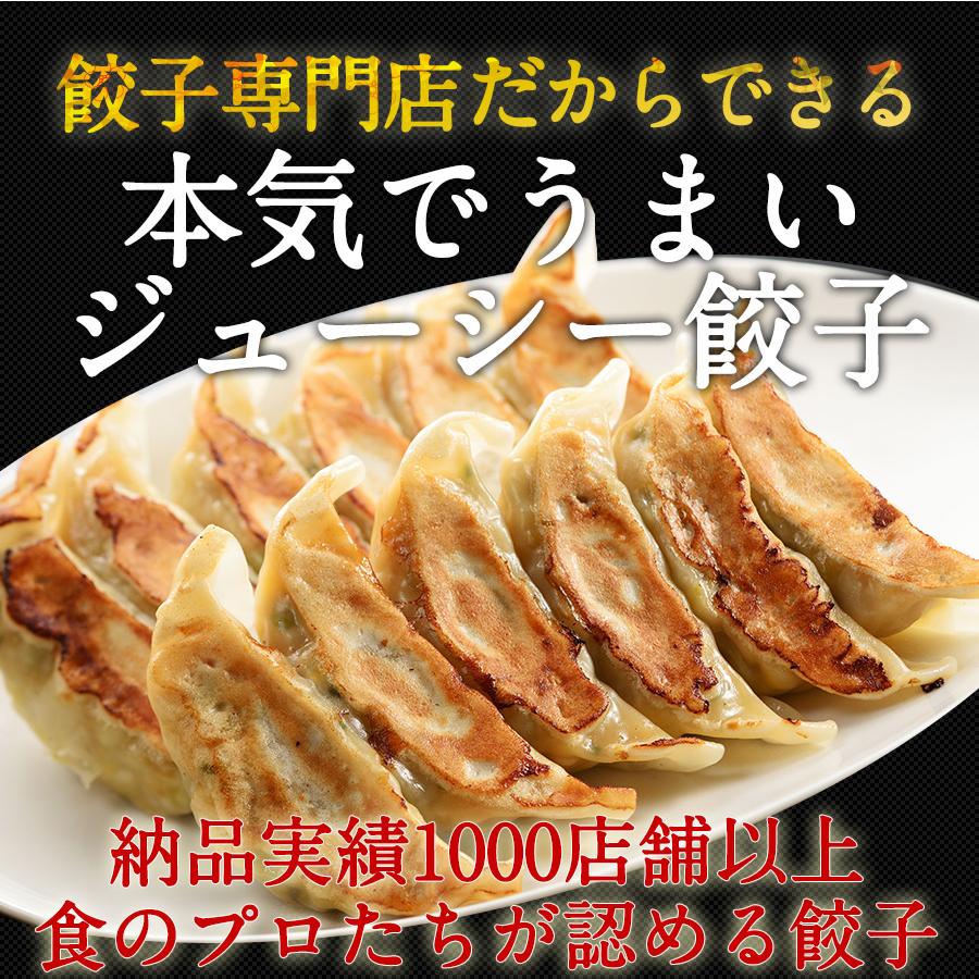 餃子 取り寄せ 送料無料 業務用 生餃子 ぎょうざ ギョーザ 冷凍 送料無料 冷凍餃子 点心 業務用特製生餃子 ジャンボたらふく餃子100個 ...