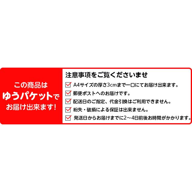 剣道 竹刀袋 菖蒲 1本入 2本入 39サイズまでOK (ゆうパケットOK) 377