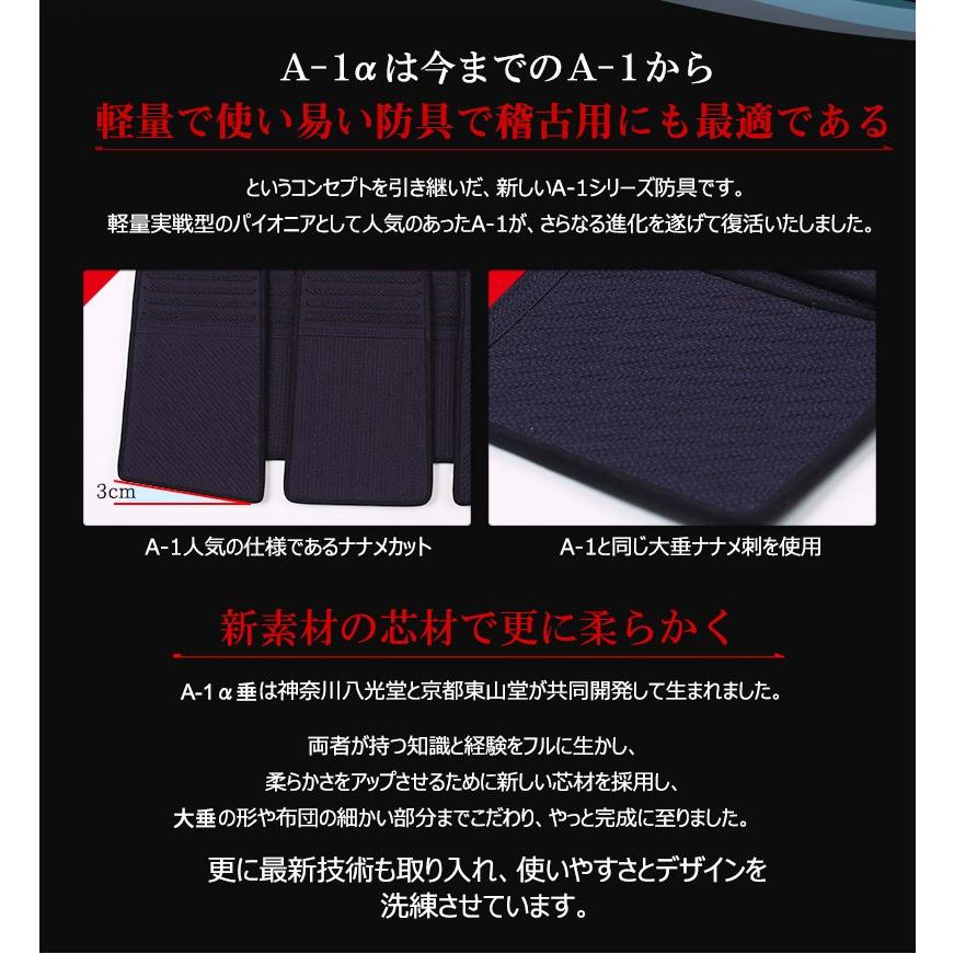 【アウトレット】送料無料 剣道防具 垂 洗える A-1α BIOCLEAN 5ミリ刺 テトニット 小学生【Sサイズ】_1