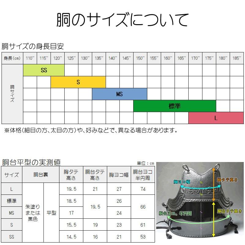 胴 説明 画像 ○在庫処分品・剣道 防具 変り塗胴(カラー胴) ○鬼雲鉄紺三本足50本型