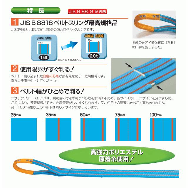 TESAC ブルースリングIV 50mm×5m(荷重2.0t) JIS4等級 両端アイタイプ