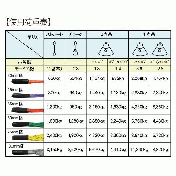 FREAK ベルトスリングE型 使用荷重3150kg 幅100mm 長さ3m 両端 FREAK ベルトスリングE型 使用荷重3150kg 幅100mm 長さ3m 両端