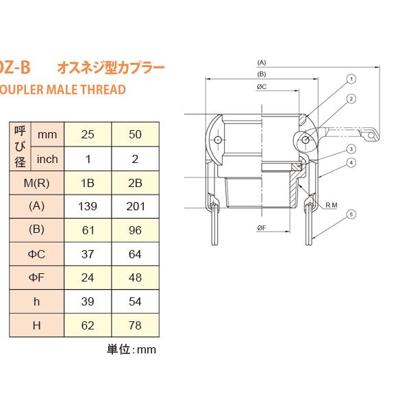 小澤物産　2インチ　50A　OZ-B　ブロンズ製　OZCレバーカップリング　オスネジ型カプラー（メス×オスネジ）　カムロック