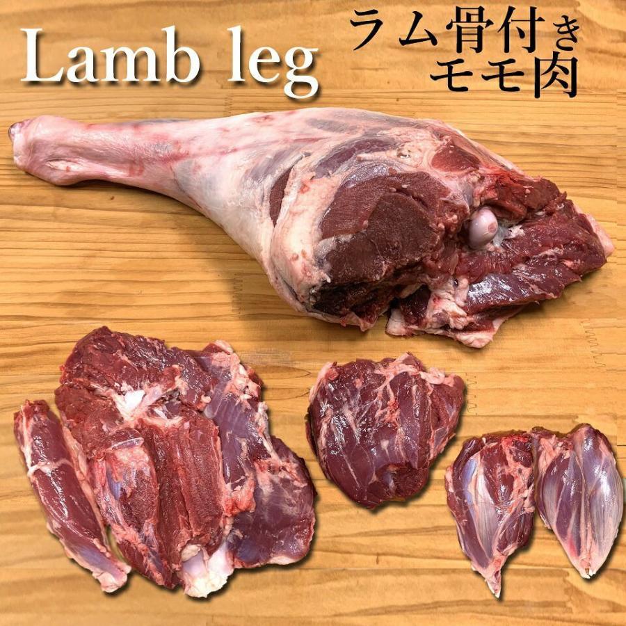 定番 ジンギスカン 送料無料 仔羊 羊 骨付きモモ肉 腿肉 キャンプ 丸焼き 直火焼き 焼肉 q ロースト ラム 骨付ラム ラムレッグ 付 骨付き Supplystudies Com
