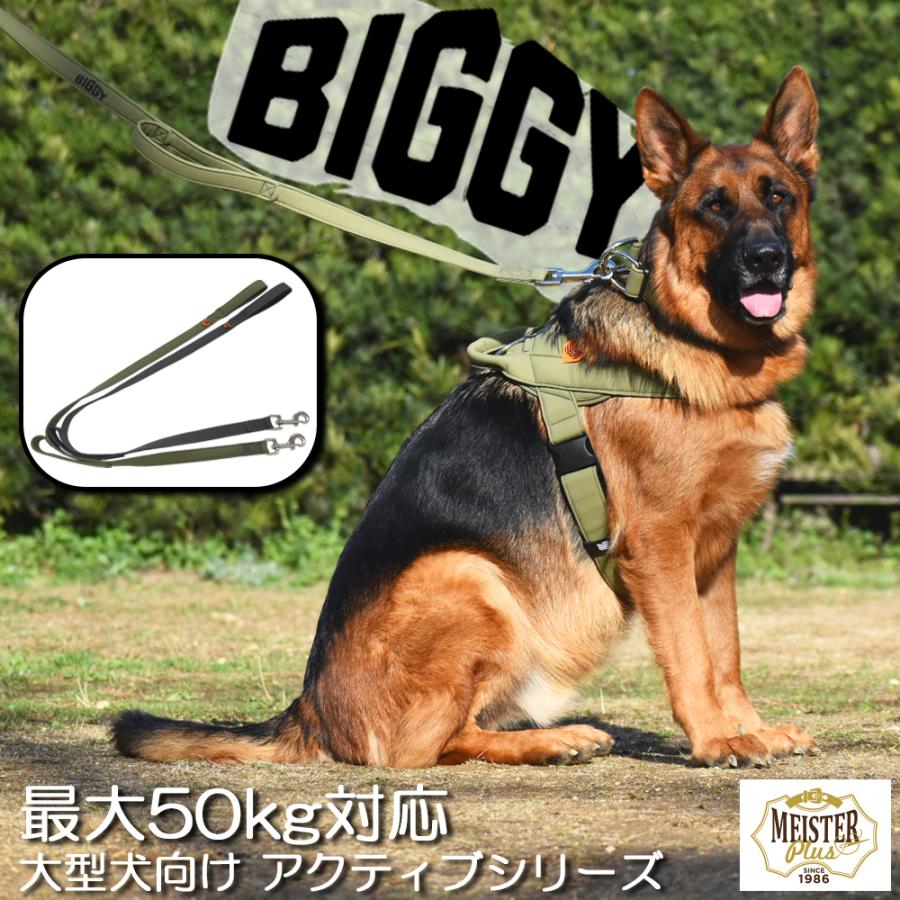 大型犬向け】BIGGY ハンドルリード LL（50kg対応） 大型犬 負担が