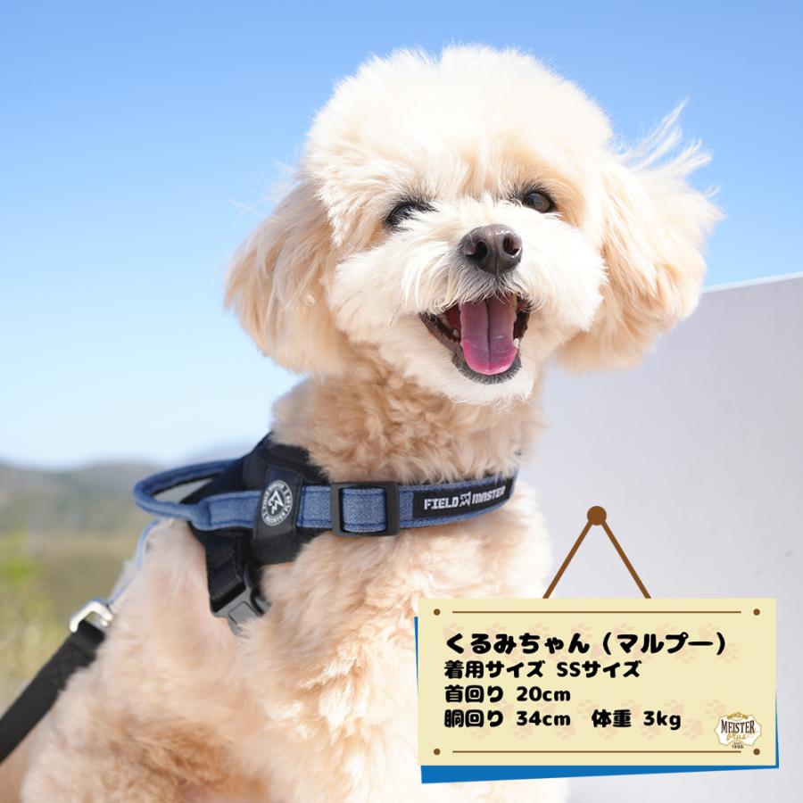 フィールドマスター ヘッドインハーネス（デザイン） L（25kg