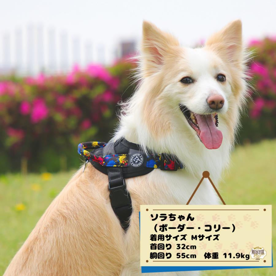 フィールドマスター ヘッドインハーネス（デザイン） M（15kg以下