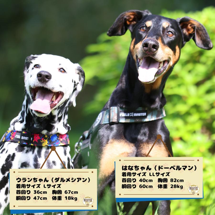 フィールドマスター ヘッドインハーネス（デザイン） S（7kg以下