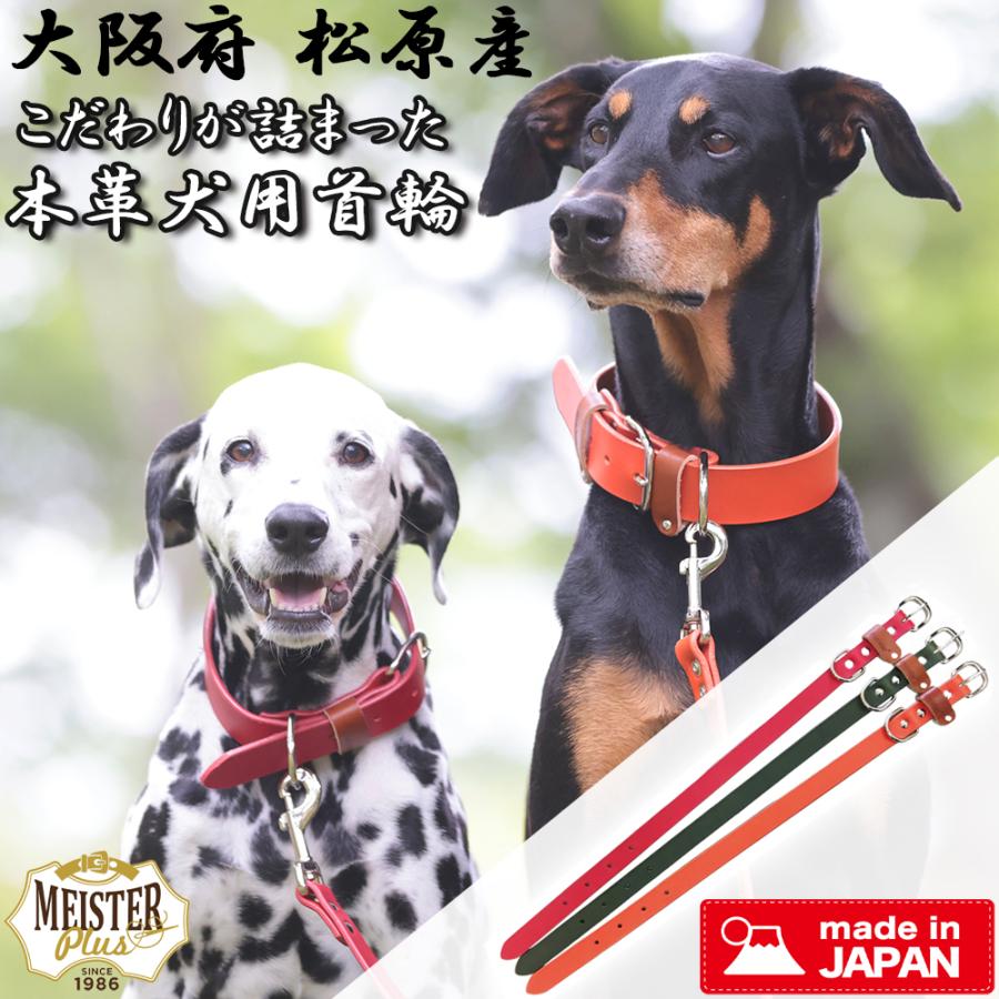 マイスタープラス レザーカラー #30（20kg以下） 幅30mm 首回り約39cm