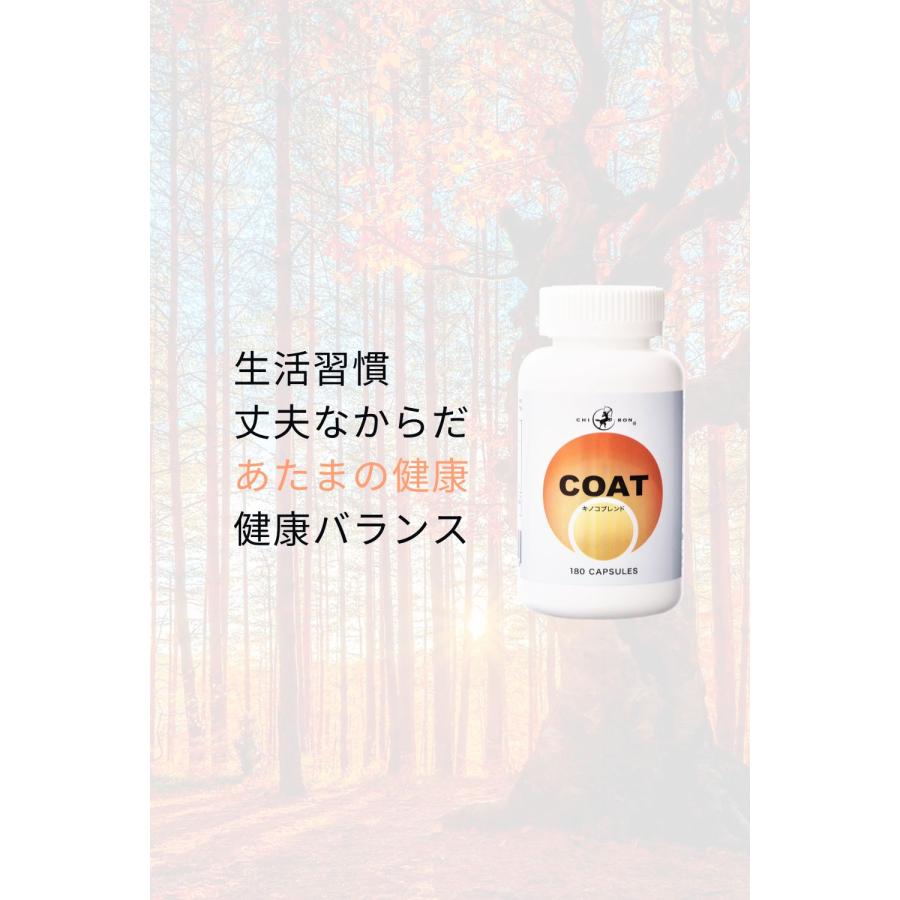 霊芝 ヤマブシタケ チャーガ 各9000mg サプリ ／ キロン COAT