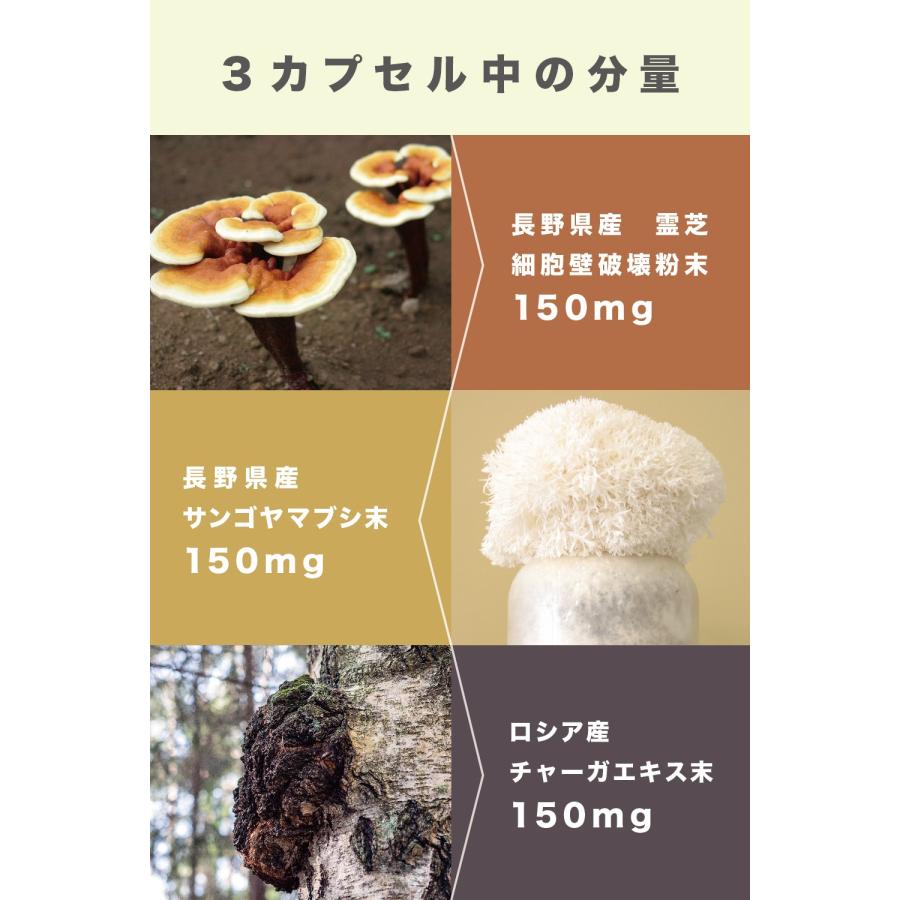 霊芝 ヤマブシタケ チャーガ 各9000mg サプリ ／ キロン COAT