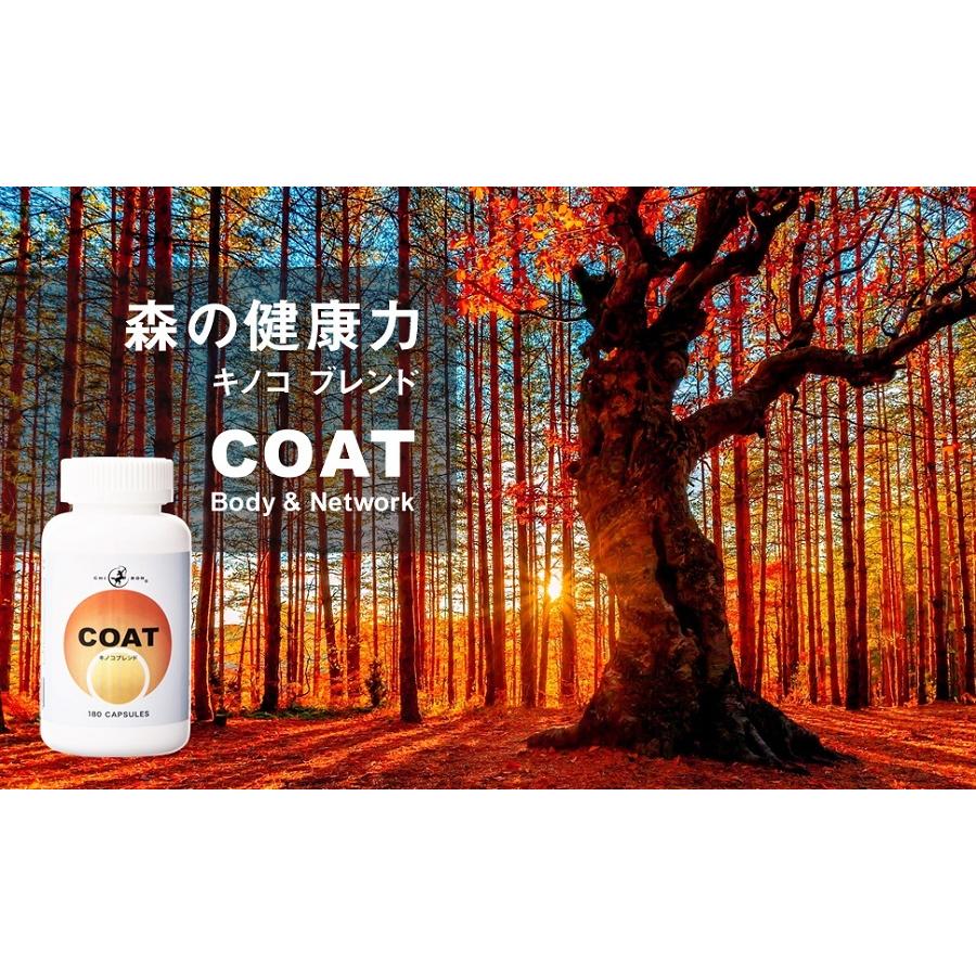 霊芝 ヤマブシタケ チャーガ 各9000mg サプリ ／ キロン COAT