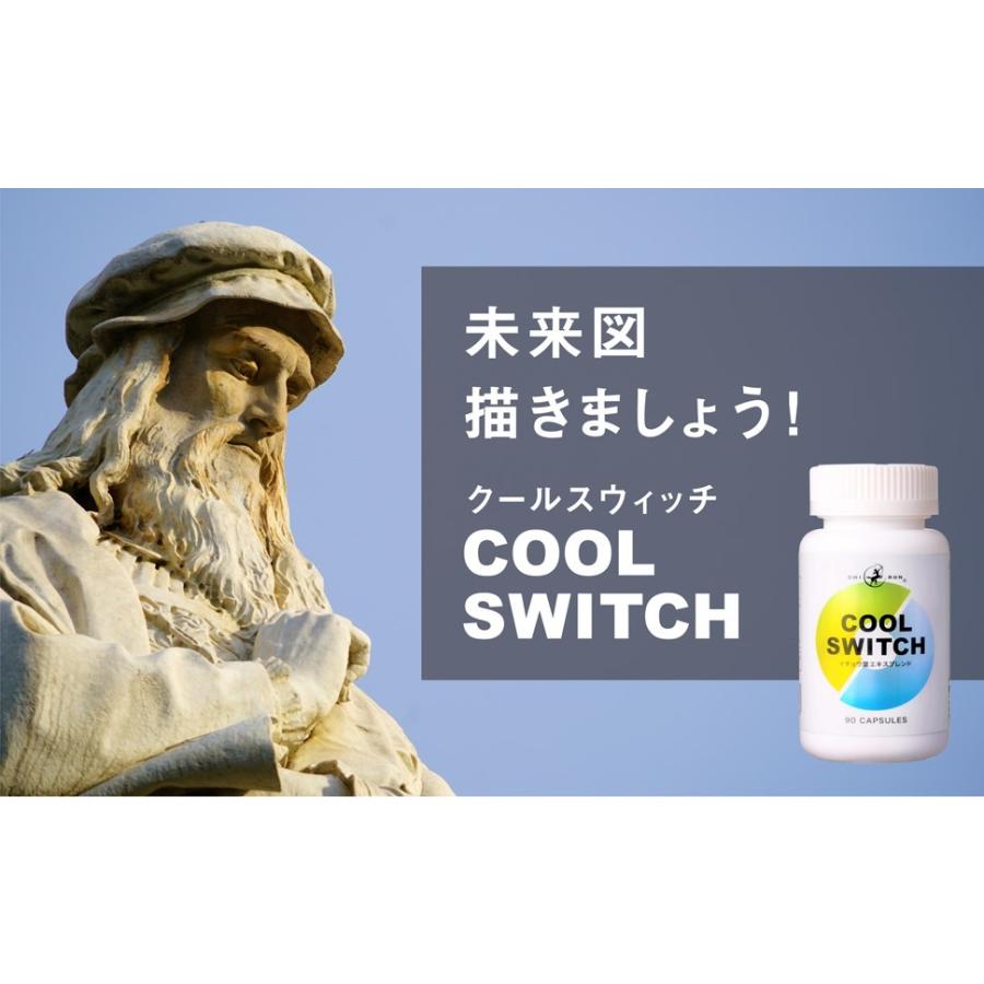 キロン スマート サプリメント Cool Switch クールスウィッチ 90カプセル イチョウ葉 ホスファチジルセリン Ps アメリカ人参 バコパ ブレンド Ccs006 賢者のサプリメント ヤフー店 通販 Yahoo ショッピング