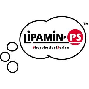 キロン 21人気新作 スマート サプリメント Hyper Switch ハイパースウィッチ 40カプセル Ver 2 集中力 バコパ ホスファチジルセリン 記憶力 配合 イチョウ葉 高麗人参