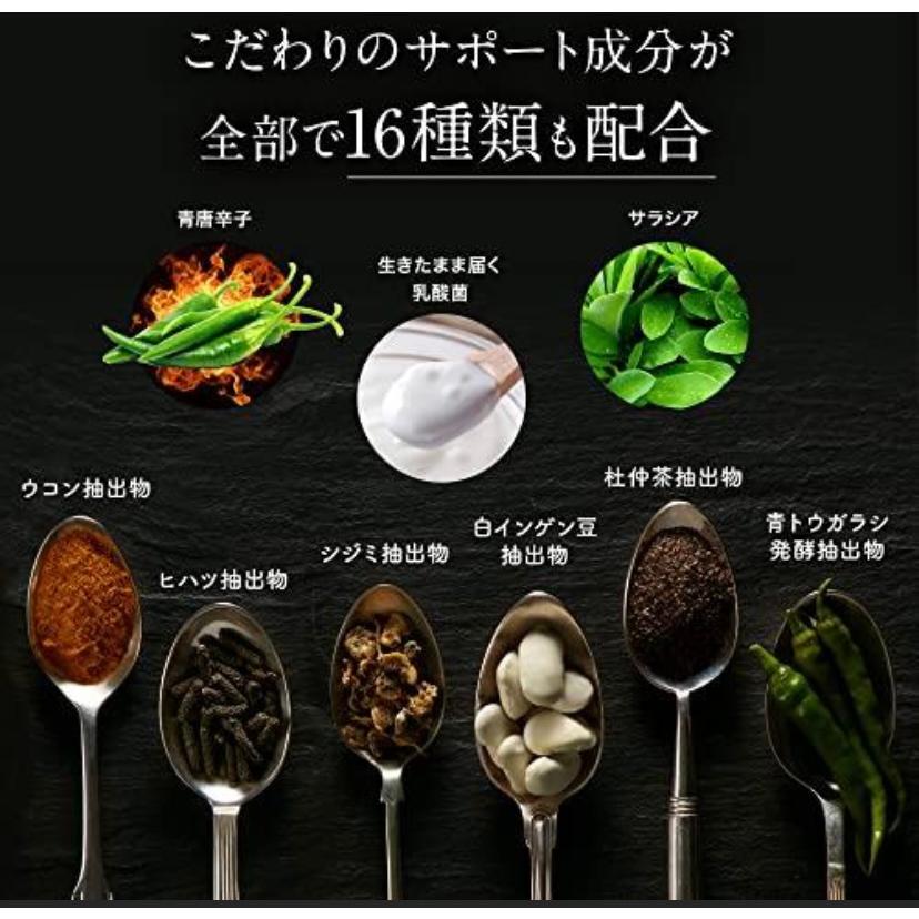 ターミナリアファースト プロフェッショナル4 120粒入り