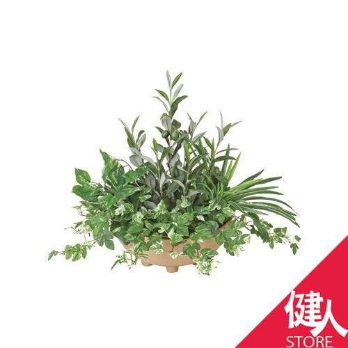 新規購入 光の楽園 年版 寄せ植えオリーブ 品番 3a100 高さ 48cm アートクリエイション 光触媒 観葉植物 輝く高品質な Technet 21 Org