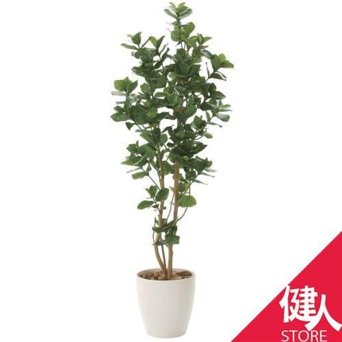 メール便なら送料無料 光の楽園 年版 クルシア 品番 719a360 高さ 160cm アートクリエイション 光触媒 観葉植物 珍しい Www Thedailyspud Com