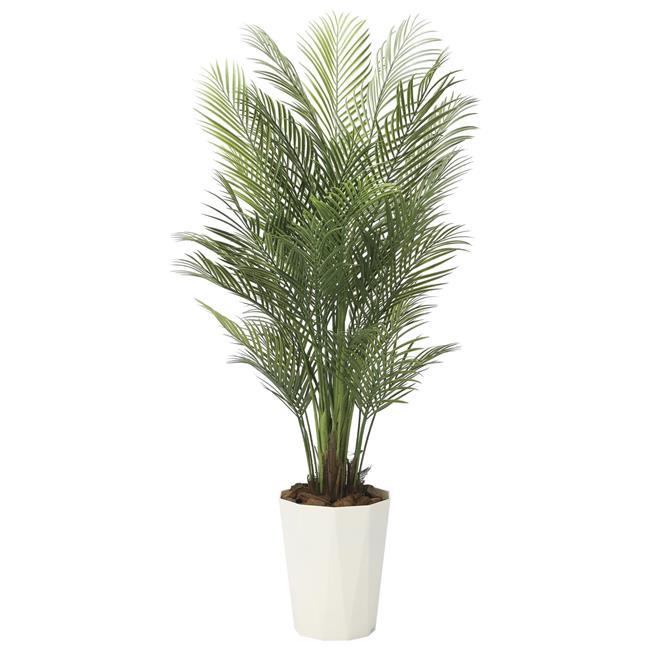 アウトレット送料無料 光の楽園 年版 アレカパーム ポリ製 品番 06a400 高さ 170cm アートクリエイション 光触媒 観葉植物 日本正規品 Www Monautoneuve Fr
