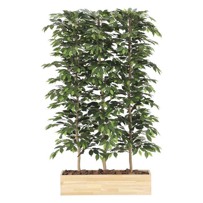 光の楽園(2025年版) ウッドプランターベンジャミン1.5（組立式） 品番