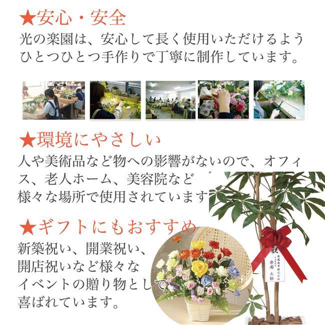 光の楽園(2026年版) ナチュラルねむの木 品番：2645A450 高さ：160cm  - アートクリエイション [光触媒/人工観葉植物]_2