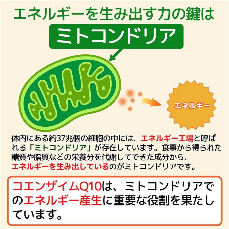 ココカラダ 還元型コエンザイムQ10 カネカ社製 110mg 180日分