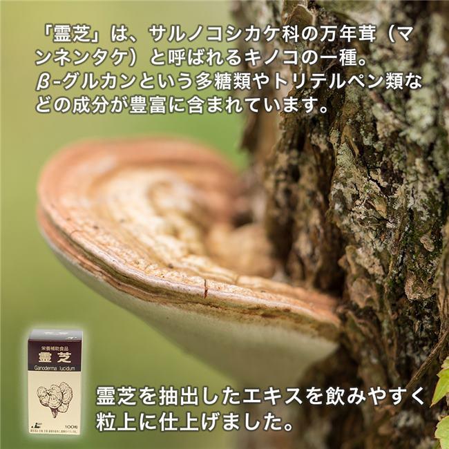 霊芝 霊芝 100粒 - 日本ケミスト [レイシ] : 健人ストア Yahoo!店 - 通販