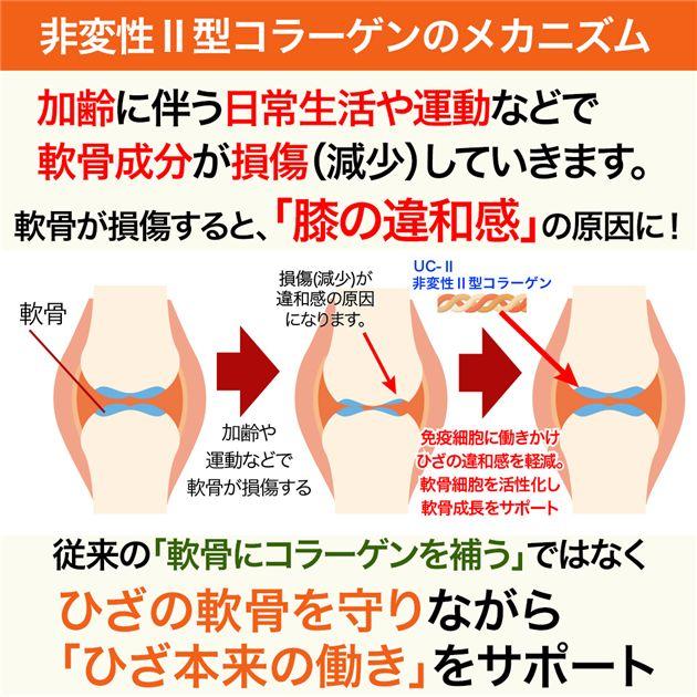 ココカラダ ひざのやつ 非変性2型コラーゲン UC-II [機能性表示食品] 180日分 60カプセル×6個セット - 健人 [ひざ関節/サプリ]_4