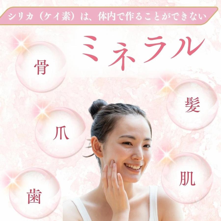≪送料無料、同梱不可≫シリカシリカ ミネラルウォーター 国産天然水
