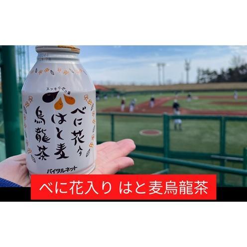 給茶器用　特撰ウーロン茶 50g×10袋入り 伊藤園（ITO EN） トクホ 烏龍茶 ウーロン茶 黄金烏龍茶 特定保健用