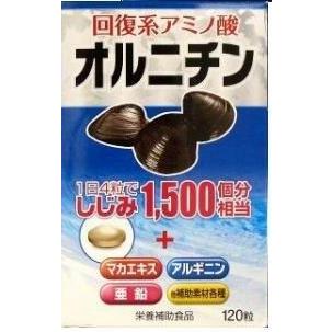 オルニチン（瓶） 120粒 : ケンコージョイ - 通販 - Yahoo!ショッピング