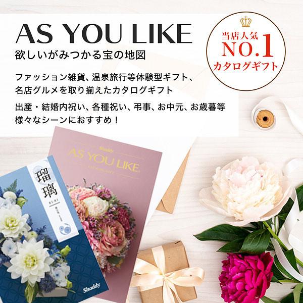 全国送料無料 カタログギフトAS YOU LIKE カサブランカ（洋風）25,900