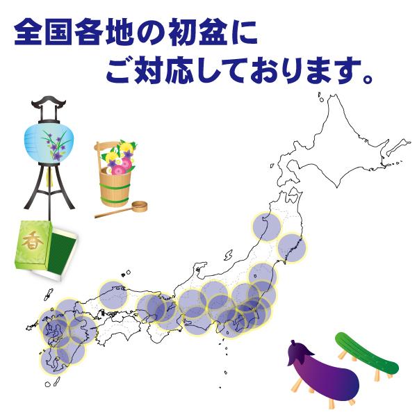 【初盆・新盆のお返し　返品可】食卓のおもてなし（EG-D3N）（引き出物　ご返礼品　オススメ　志　手提げ付　お礼状）゛〔○4・10〕｜kenjya-gift｜16