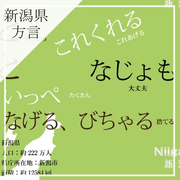 都道府県別方言ラッピング 選べるカタログギフト 中部地方編3 630円コース 内祝い お返し 引出物 記念品 粗品 H Chubu Cattleya 賢者のギフト 通販 Yahoo ショッピング