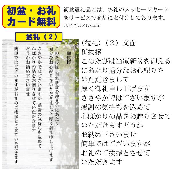 【初盆・新盆のお返し　返品可】北海道産小麦使用 麺匠庵 手延素麺（DTS-10）（引き出物　ご返礼品　オススメ　志　手提げ付　礼状）゛〔□5・20〕｜kenjya-gift｜10