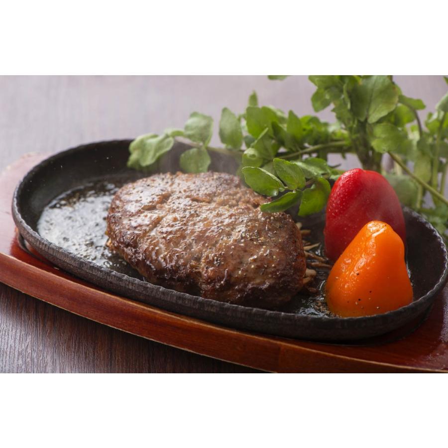 送料無料 宮崎 ミヤチク こだわりハンバーグセット メーカー直送品 冷凍便 ギフト プレゼント ご自宅用におすすめ Ns10t 賢者のギフト 通販 Yahoo ショッピング