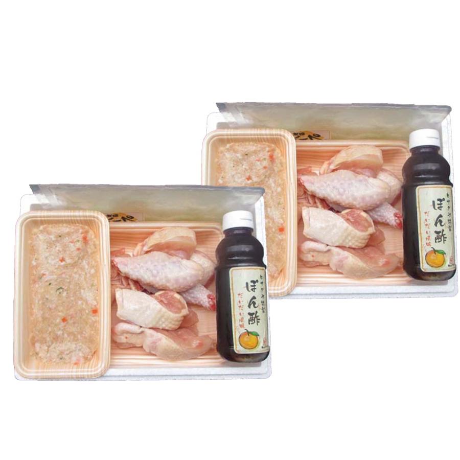 手数料安い 送料無料 福岡 はかた一番どり水炊きセット メーカー直送品 冷凍便 ギフト プレゼント ご自宅用におすすめ 最安値に挑戦 Zoetalentsolutions Com