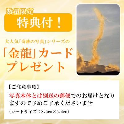 奇跡の写真 鵬 おおとり 金龍カード 特典付 銀塩生写真 開運グッズ 【メリル】 運気 アップ
