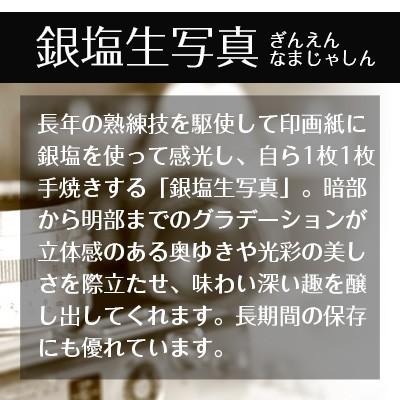奇跡の写真 鵬 おおとり 金龍カード 特典付 銀塩生写真 開運グッズ 【メリル】 運気 アップ