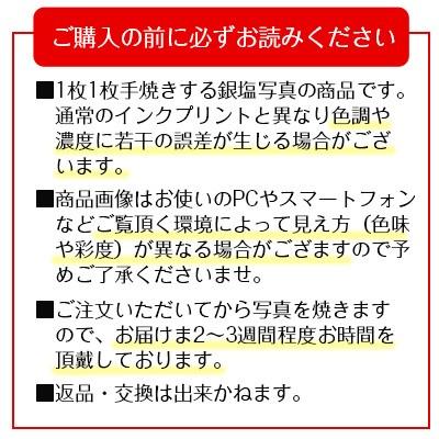 奇跡の写真 鵬 おおとり 金龍カード 特典付 銀塩生写真 開運グッズ 【メリル】 運気 アップ