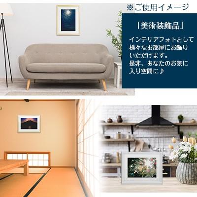 奇跡の写真 波動島 金龍カード 特典付 銀塩生写真 開運グッズ 運気 アップ 【ロニー・ジョンソン】