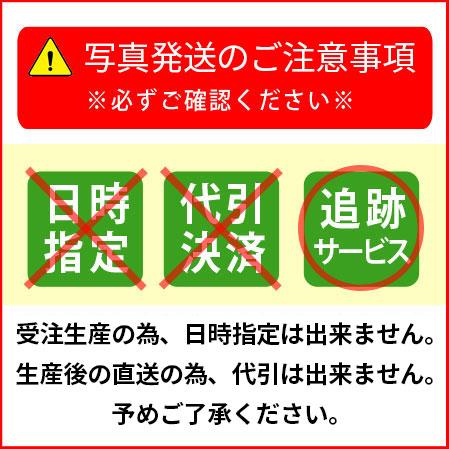 秋元隆良 奇跡の写真 光立つ時代 令和 金龍カード 特典付 銀塩生写真 開運グッズ 運気 アップ｜kenkami｜11