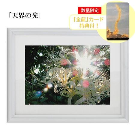 秋元隆良 奇跡の写真 2L版 天界の光 金龍カード 特典付 銀塩生写真 開運グッズ 運気 アップ | 