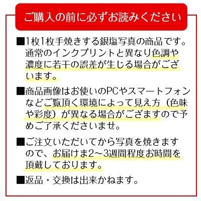 秋元隆良 奇跡の写真 2L版 天界の光 金龍カード 特典付 銀塩生写真 開運グッズ 運気 アップ |  | 09