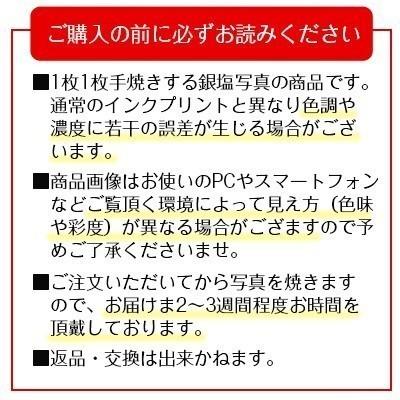 秋元隆良 奇跡の写真 天空龍 金龍カード 特典付 銀塩生写真 開運グッズ 開運グッズ 運気 アップ｜kenkami｜10