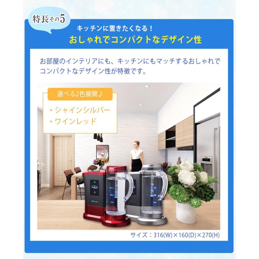 10%OFFクーポン付き 正規販売店 水素水生成器 水素吸入器 ルルド