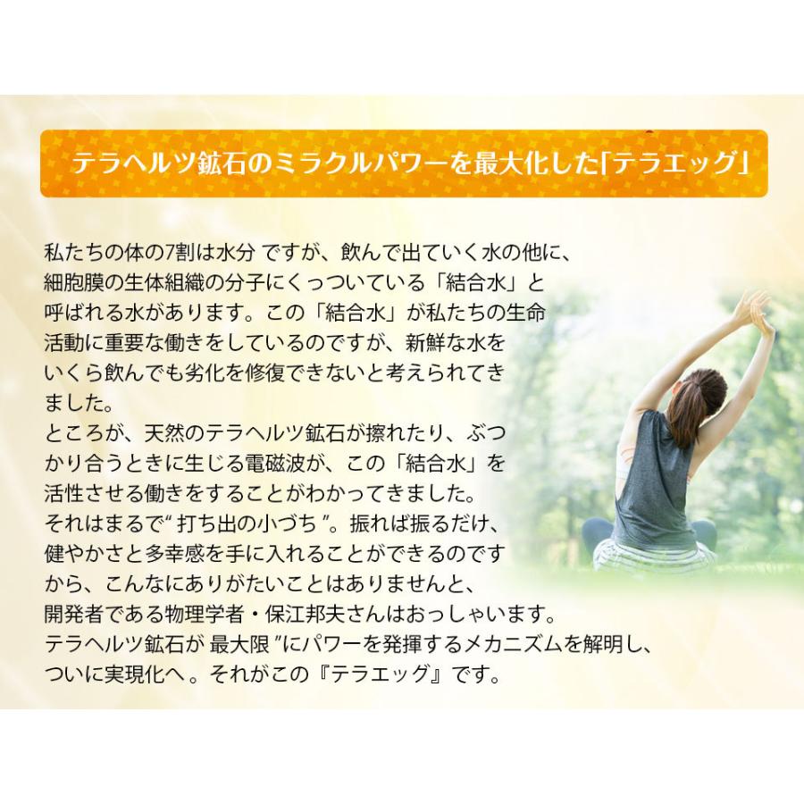 天然テラヘルツのチカラ テラエッグ クーポン付き マッサージ