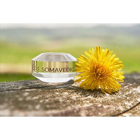 ソマヴェディック マイルド・ピュア ポータブルボタン : 健康な髪